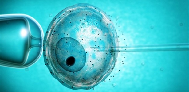 Técnica permite que núcleo saudável de óvulo com mitocôndria danificada seja usado - Alamy