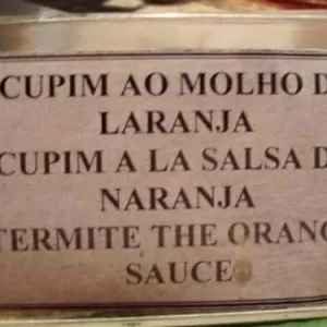 Cardápios em inglês traduzidos  Cardápio, Traduzir, Cardapio de restaurante