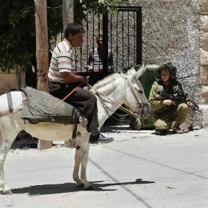 Ban Ki-moon pede que israelenses e palestinos cessem-fogo