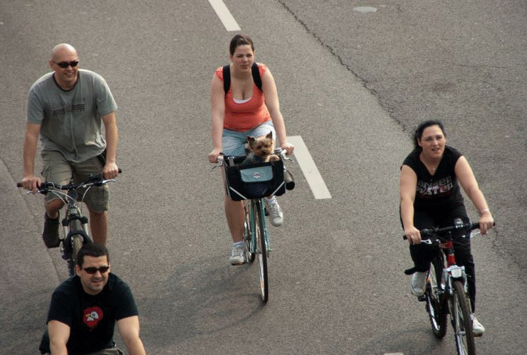 Em Budapeste, na Hungria, a bicileta é respeitada no trânsito da cidade. As ciclovias têm farol e faixa de travessia especiais - Zsolt Andrasi