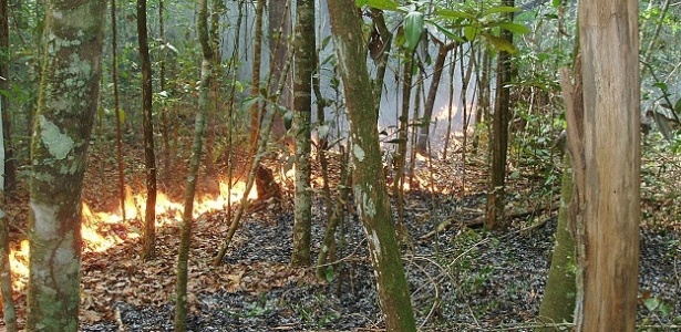 Incêndios e desmatamento na Amazônia elevaram o índice de emissões de dióxido de carbono no país, segundo o Observatório do Clima - Doug Mortom/Nasa
