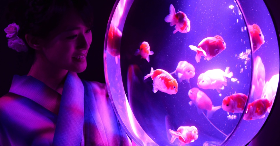 10.jul.2014 - Uma mulher vestindo um traje típico observa os peixes dourados na exposição "Eco Edo Nihombashi Art Aquarium 2014", em Tóquio, no Japão