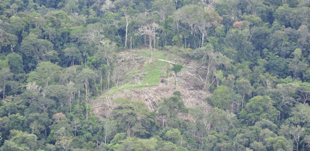 Roça de índios isolados do Alto Rio Envira é vista do alto em foto da Funai - Gleison Miranda/Funai