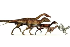 Primeiro Diz-me - Dinossauros