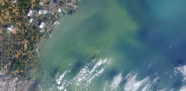 Imagem de satélite mostra a proliferação de algas em lago na cidade de Toledo, nos EUA - Nasa