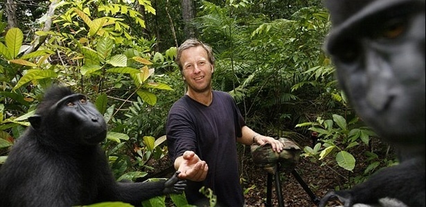 David Slater deixou que macacos da Indonésia brincassem com sua câmera - Reprodução/Daily Mail 