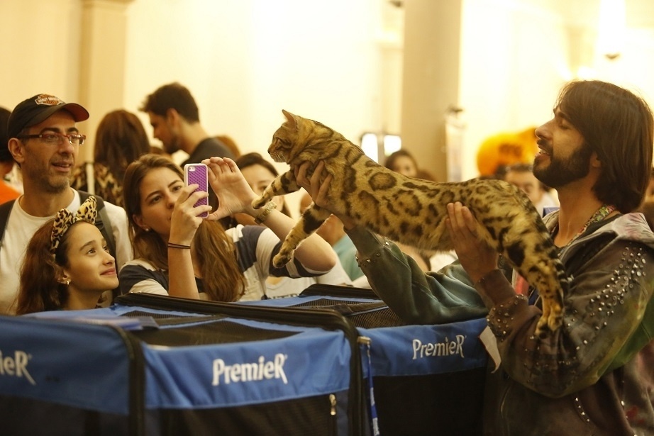 Fotos: Evento reúne 360 gatos de 23 raças diferentes em São Paulo -  25/08/2014 - UOL Notícias