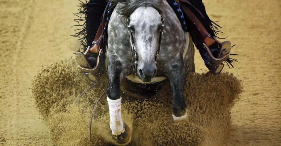26.ago.2014 - Cavalo australiano "La Biglia Sailor" e seu cavaleiro competem nos Jogos Mundiais Equestres, disputados em Caen, na França