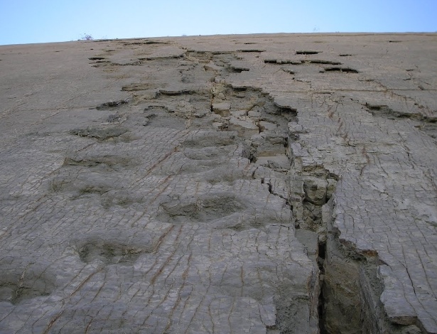 Pegadas de dinossauro no Parque Cretáceo Carl Orcko, no Sucre, na Bolívia. O lugar contém mais de 5.000 pegadas de 294 espécies de dinossauros, que teriam vivido entre o fim do período Cretáceo e o começo do Terciário, há 66 milhões de anos - Reprodução