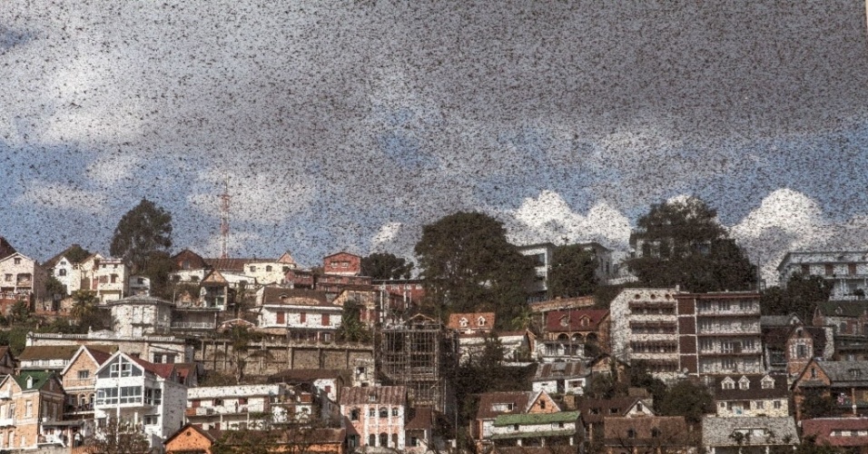 28.ago.2014 - Nuvem de gafanhotos invade Antananarivo, capital de Madagascar, nesta quinta-feira (28)