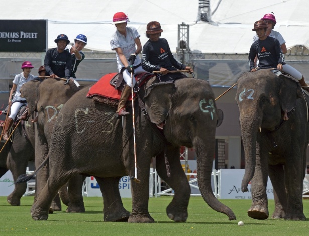 28.ago.2014 - Tailandeses participam nesta quinta-feira (28) do torneio de polo com elefantes Copa do Rei, na província de Samut Prakan. Um total de 16 times de todo o mundo e 51 elefantes participam do campeonato, que acontece de 28 a 31 agosto