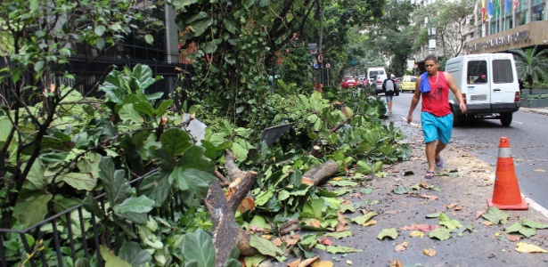 Árvore caída próximo à rua Paula Freitas, em Copacabana, na manhã desta quarta - Murilo Rezende/Futura Press/Estadão Conteúdo 