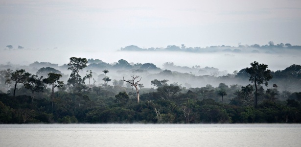 Vista do rio Tapajós; governo planeja usina em área das mais preservadas da Amazônia - Adriano Gambarini/WWF
