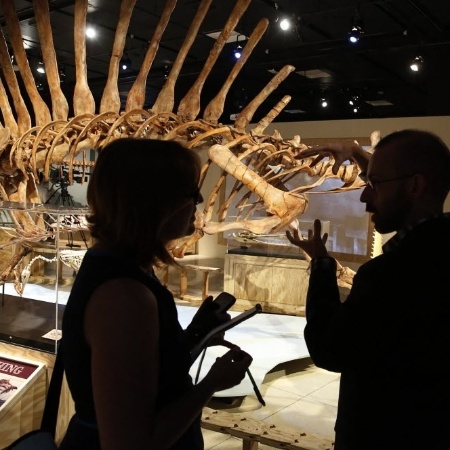 Paleontólogos observam réplica do esqueleto do Spinosaurus aegyptiacus, o maior dinossauro predador que já vagou sobre a Terra - Jim Bourg/Reuters
