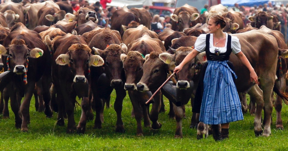 11.set.2014 - Pastora conduz rebanho de vacas durante o tradicional festival Almabtrieb em Bad Hindelang, no interior da Alemanha, nesta quinta-feira (11). Todos os anos fazendeiros levam os animais dos Alpes para as pastagens de inverno no vale