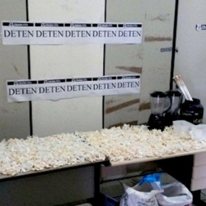 Em posse dos detidos, a polícia apreendeu 4.500 papelotes de cocaína - Divulgação/Polícia Civil