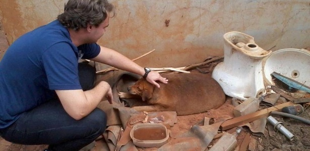 Bolinha está internado em uma clínica veterinária em Cuiabá para tratar a obesidade - Reprodução/Facebook