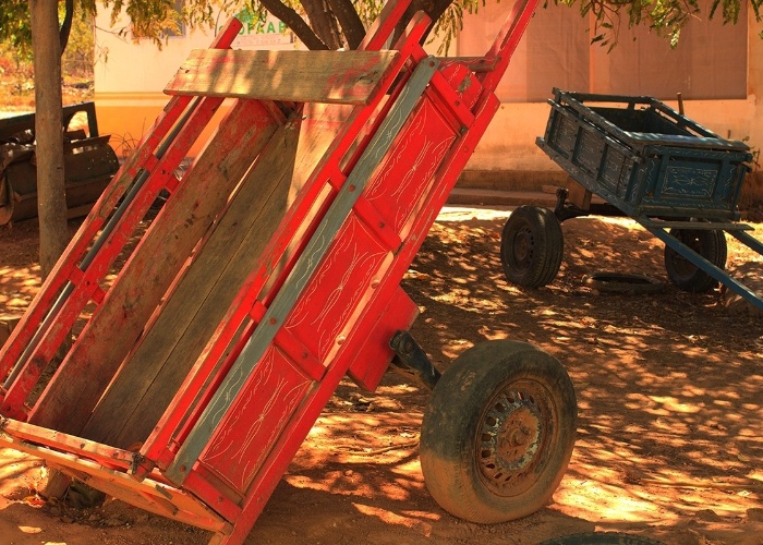 A comunidade de Água Boa faz a coleta de frutos nesses carrinhos e transforma e embala polpas, óleos e farinhas na cooperativa