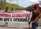 Movimento Xingu Vivo Para Sempre/Agência Pública