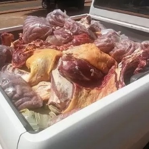 Polícia apreendeu 2 toneladas em carnes bovinas, suínas, linguiça caseira, frangos, laticínios e mel impróprios para consumo - Divulgação