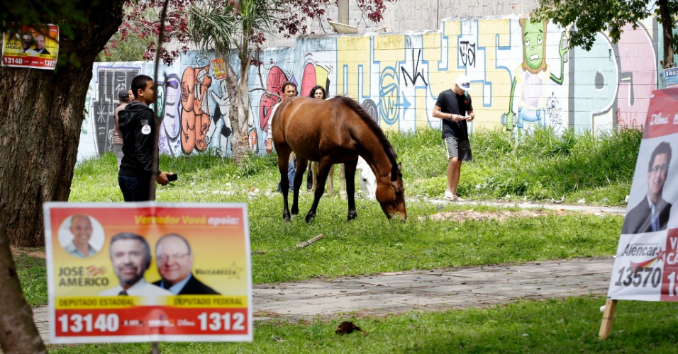 eleição no Jardim Paulistano e Grajaú 2014