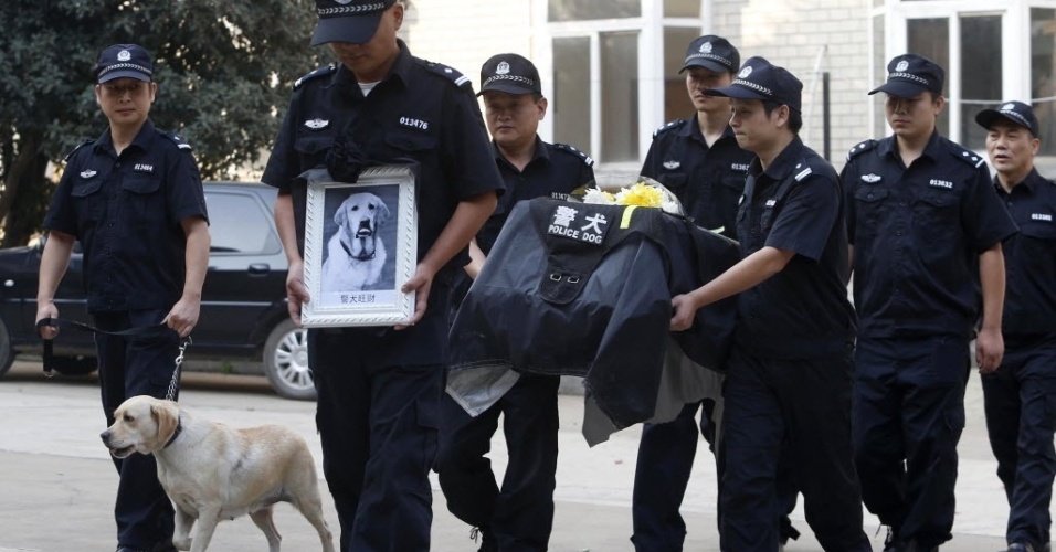 10.out.2014 - Agentes policiais carregam o caixão do cão policial WangCai durante seu funeral em uma delegacia da polícia em Wuhan, na província de Hubei, na China, nesta quinta-feira (9). O cão policial era um Labrador Retriever e tinha 12 anos. O agente animal havia trabalhado durante os Jogos Olímpicos de Pequim em 2008 