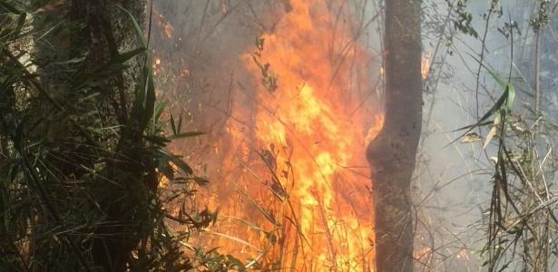O fogo, que começou no domingo (12), também atingiu o Parque Nacional da Serra dos Órgãos (Parnaso), que aparece na imagem - Divulgação/Parnaso