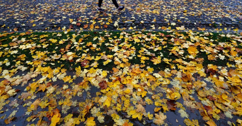 14.out.2014 - Visitante caminha por uma calçada coberta com folhas amarelas na Fortaleza São Pedro e São Paulo, em São Petersburgo, na Rússia