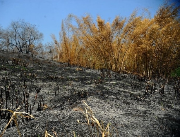 Largas áreas da região serrana do Rio de Janeiro foram destruídas por incêndios: seca e altas temperaturas causaram queimadas pelo país - Agência Brasil/ Fernando Frazão