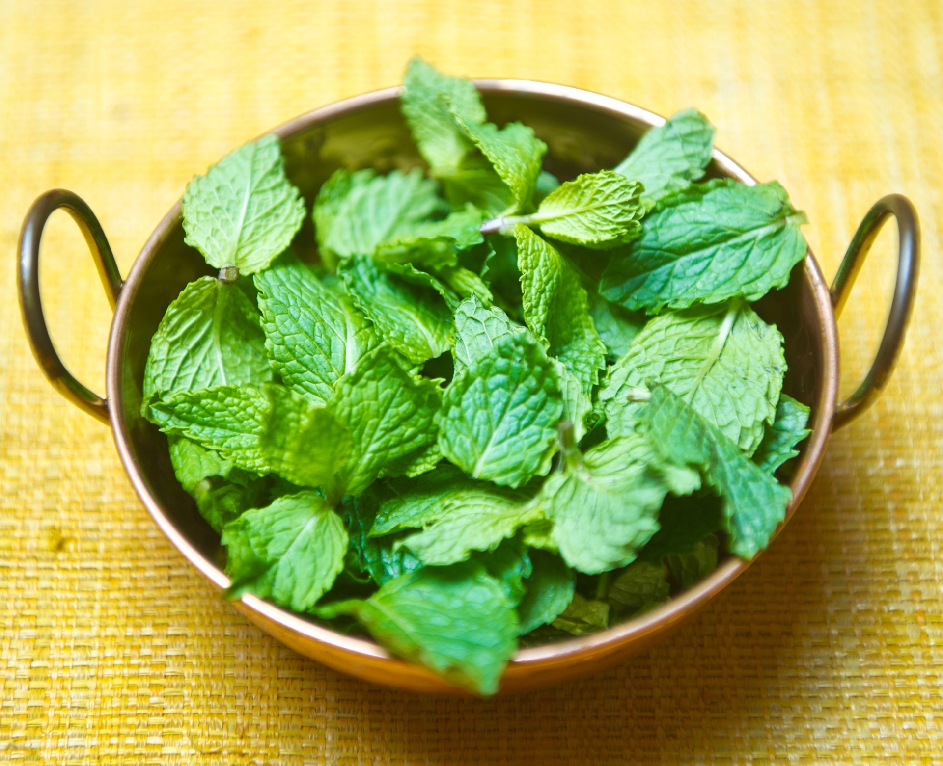 Hortelã, ingrediente usado na salada de melancia com azeitona preta e queijo feta, preparada pela chef Rita Atrib - Luiza Sigulem /Folhapress
