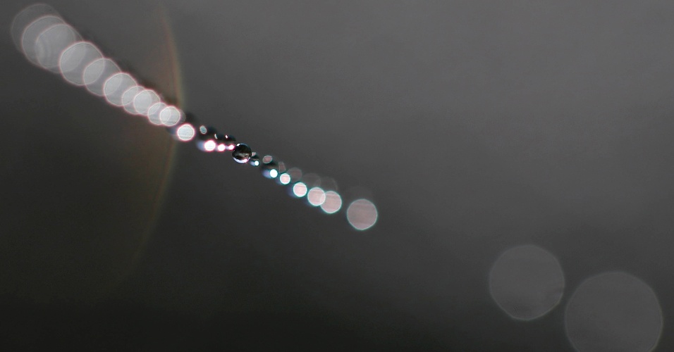 28.out.2014 - Gotas de orvalho ficam penduradas em uma teia de aranha em Vertou, perto de Nantes, na França