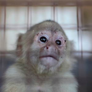 Jose Cabezas/Reuters