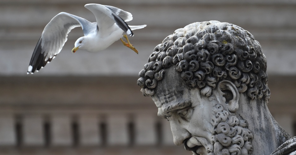 29.out.2014 - Uma gaivota voa sobre a estátua de São Pedro durante a audiência geral do Papa Francisco na Praça de São Pedro, no Vaticano