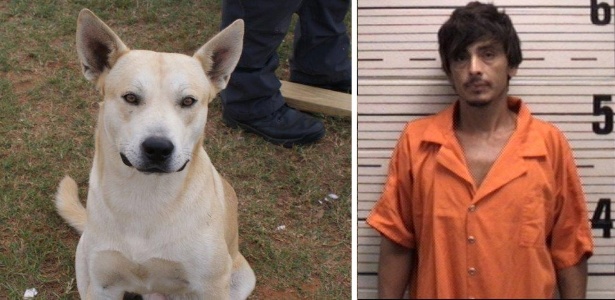 O cão Bo dedurou o paradeiro de Edwin Henderson, suspeito de traficar metanfetamina - Reprodução/Facebook/Departamento de Polícia de Pratville