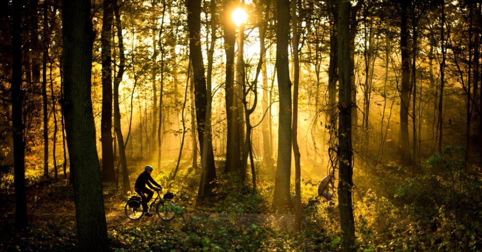 11.nov.2014 - Ciclistas pedalam na floresta Eilenriede em Hannover, na Alemanha