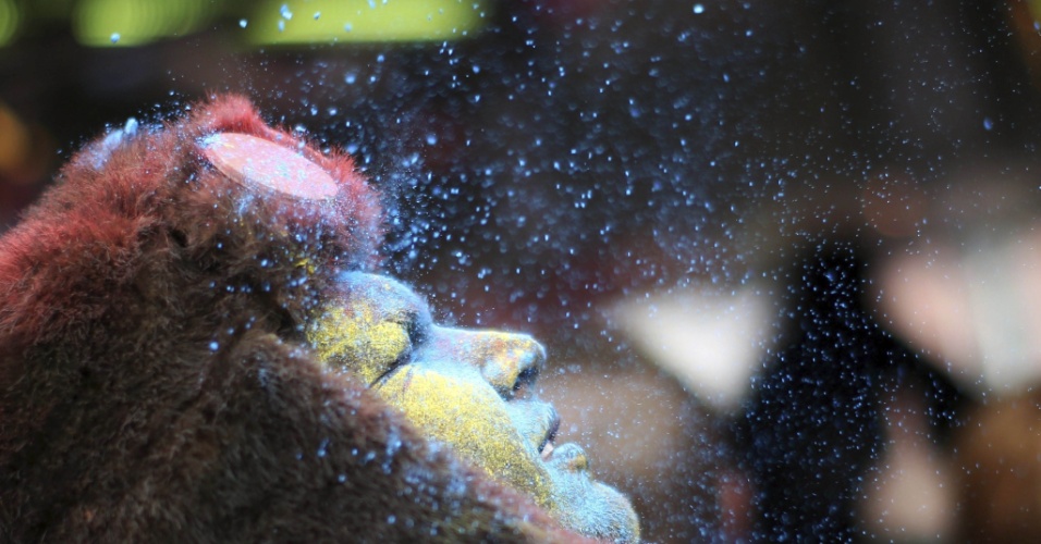 11.nov.2014 - Folião tem o rosto coberto de particulas de tinta na comemoração do início da temporada de carnaval em Mainz, na Alemanha. A festividade começa às 11h11 do dia 11 de novembro e só acaba à meia noite da quarta-feira de cinzas