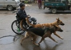 Homem adota cães para ajudar a puxar cadeira de rodas - William Hong/Reuters