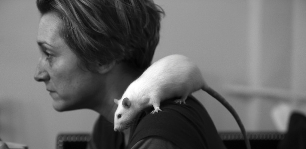 A atriz Francesca Faridany descansa com a rata Toby em seu ombro durante o intervalo do ensaio da peça - Nicole Bengiveno/The New York Times