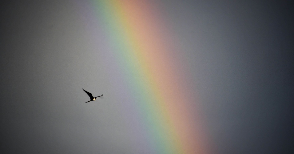 14.nov.2014 - Pássaro voa em frente a um arco-íris na Cidade do Panamá
