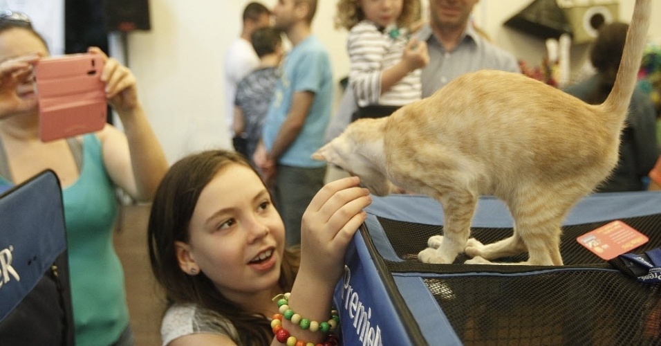 Fotos: Evento reúne 360 gatos de 23 raças diferentes em São Paulo -  25/08/2014 - UOL Notícias