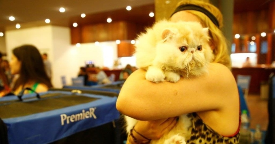 Fotos: Evento reúne 360 gatos de 23 raças diferentes em São Paulo -  25/08/2014 - UOL Notícias