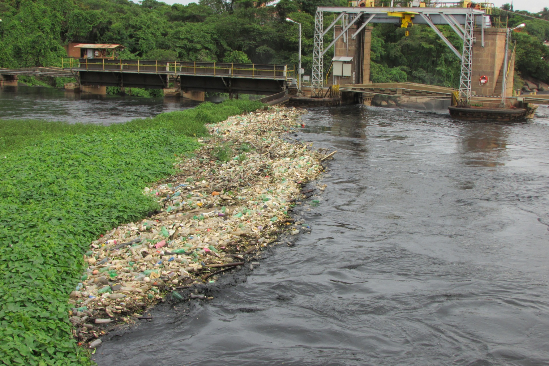 Fotos: Poluição nas águas de São Paulo - 28/11/2014 - UOL Notícias