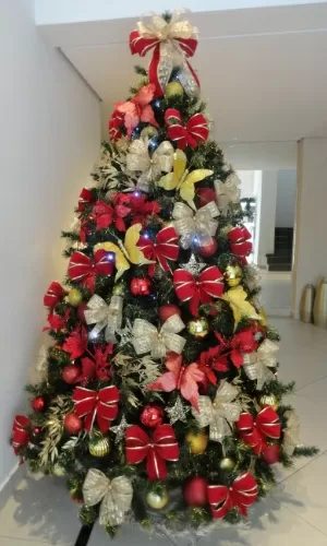 Fotos: De aluguel de árvore a selfie com Papai Noel, empresas lucram com  Natal - 11/12/2014 - UOL Economia