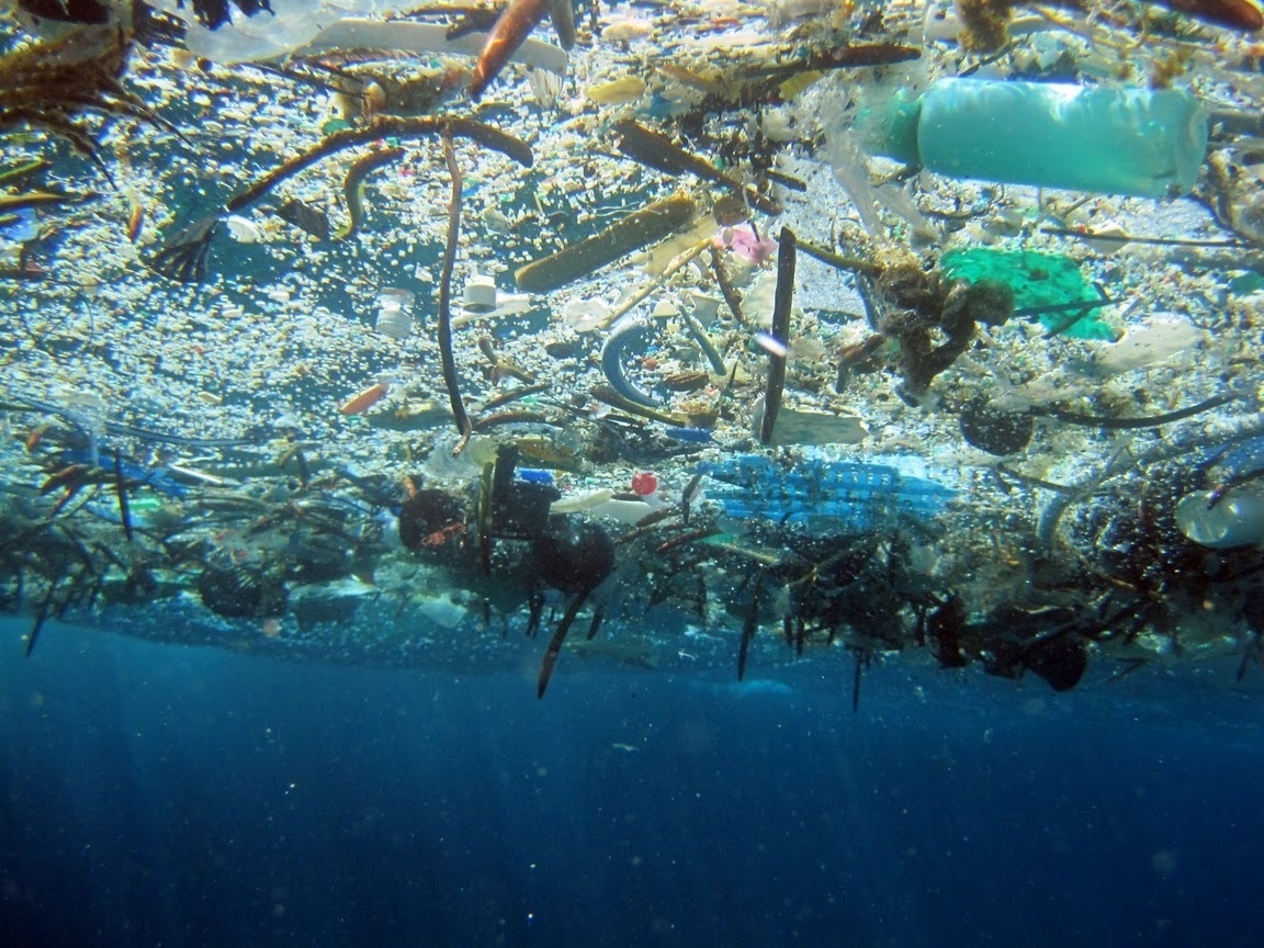 Como a poluição por plástico ameaça a vida na Terra - 16/12/2017 ...