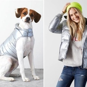 eagle marca de roupa