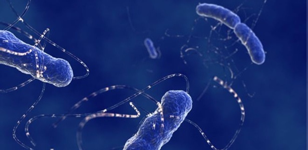 Bactérias como a e.coli têm apresentado aumento de resistência a medicamentos e poderão contribuir para um aumento de mortandade nos próximos anos - Getty Images