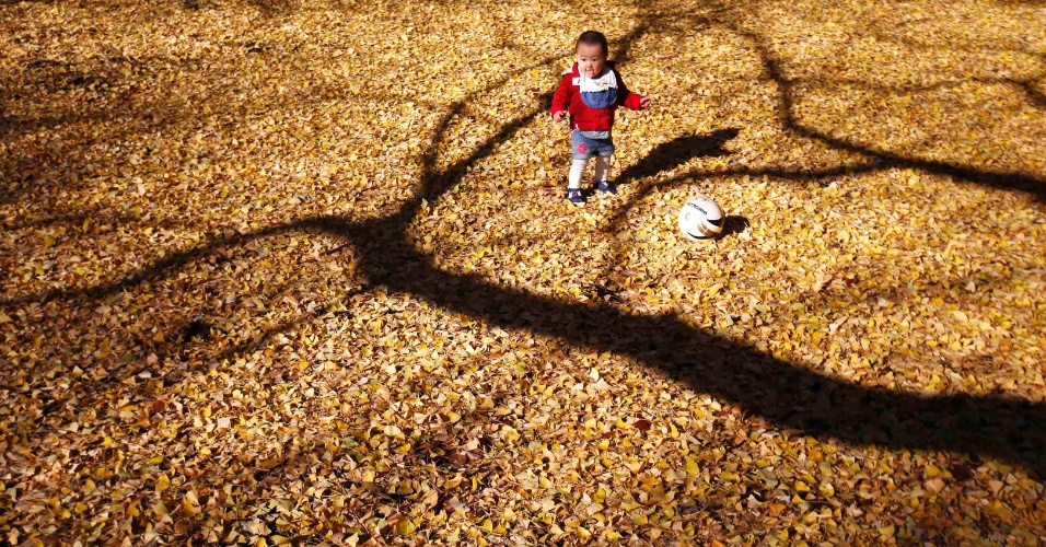 17.dez.2014 - Criança brinca entre árvores no parque Yoyogi depois de uma tempestade de inverno em Tóquio, no Japão