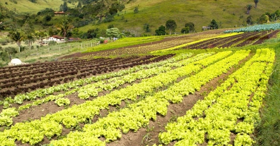 Conheça a fazenda e o armazém de alimentos orgânicos do ator Marcos