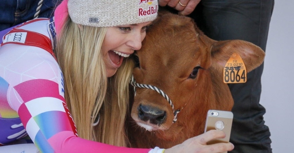 20.dez.2014 - A americana Lindsey Vonn tira selfie com uma vaca após vencer competição de esqui na França