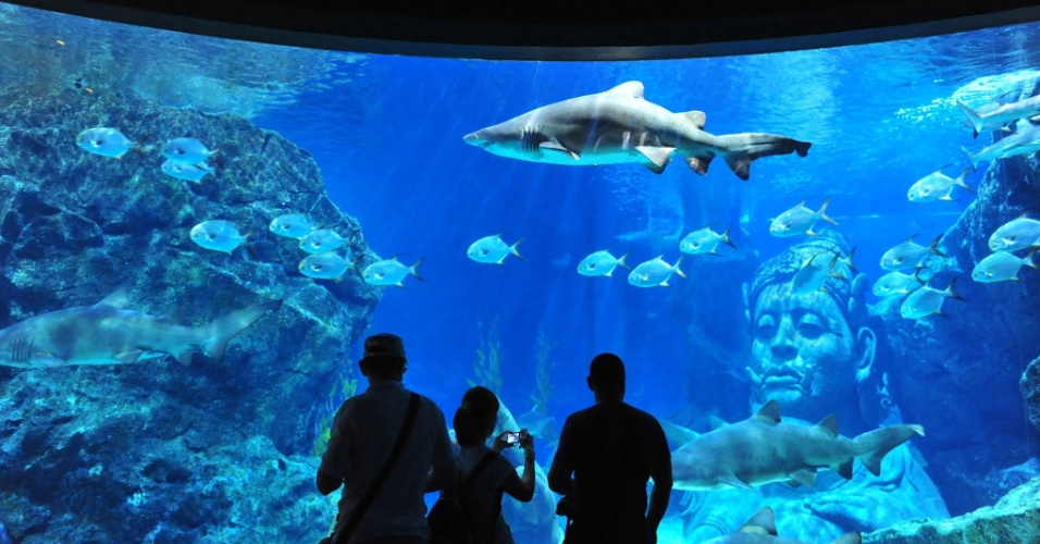 23.dez.2014 - Pessoas observam tubarão dentro do aquário Bangkok Sea Life, em Bancoc, na Tailândia